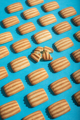 biscuit