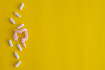 close up on intestine model with group of white medicine pill on yellow background to improve and prevent illness about lifestyle for healthcare checkup and concept