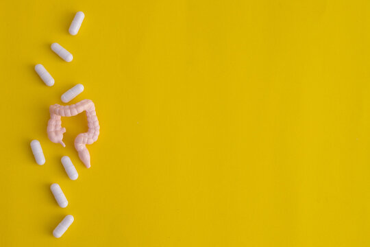 close up on intestine model with group of white medicine pill on yellow background to improve and prevent illness about lifestyle for healthcare checkup and concept