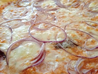 close up of a pizza with onion