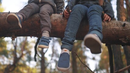 children sitting on a tree in the park. happy family childhood dream concept. children dangle their...