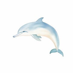 dolphin, playful dolphin cartoon drawing on isolated white background, water color style,