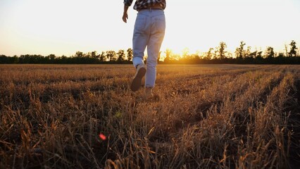 Female farmer running through the barley plantation at sunset. Agronomist jogging among wheat...
