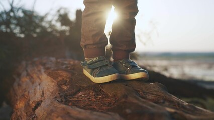 the boy is playing in the forest park. close-up child's legs walk on a log of a fallen tree. happy...