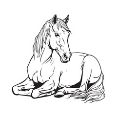 Hand Drawn Sitting Horse Images Vector on white background.  horse isolated on white