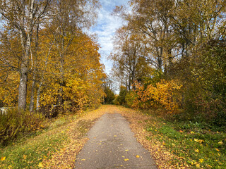 Obraz premium Autumn country landscape on a sunny day