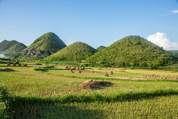 Rice fields at Tam Son, Ha Giang, Vietnam