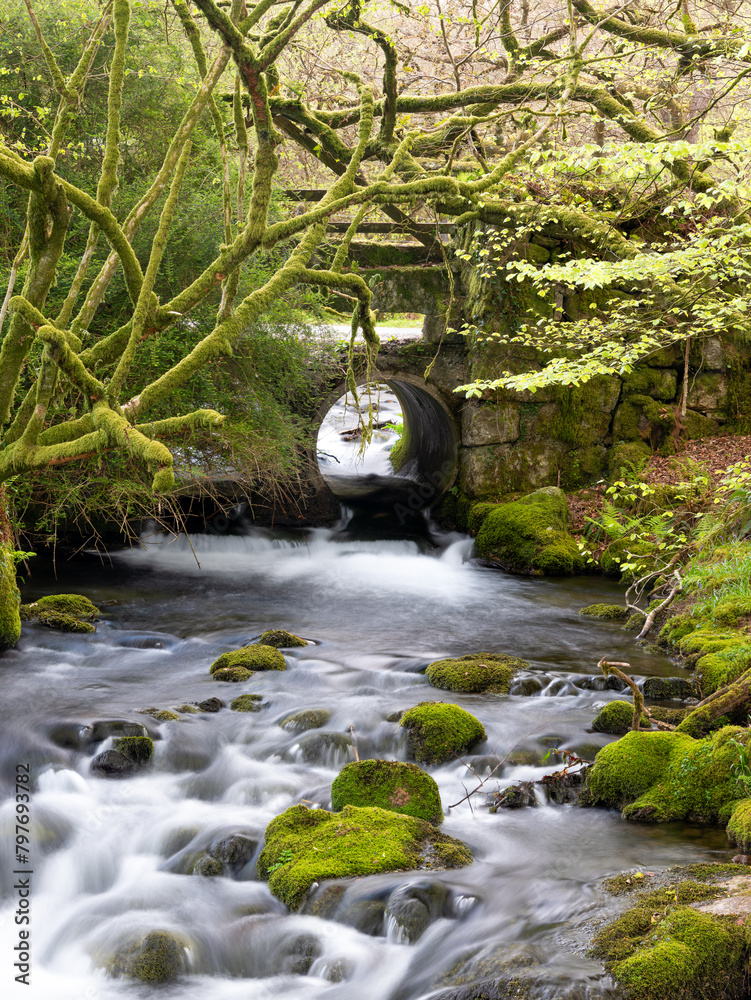 Wall mural River in Dartmoor national park near burrator reservoir devon england uk