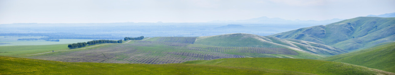 Fototapeta na wymiar A large panorama of spring meadows and fields, green hills