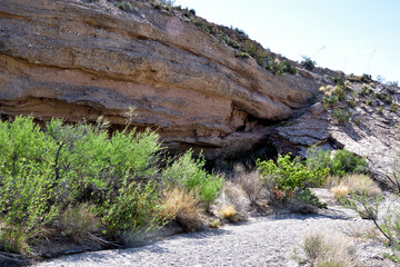 Rocks and green bushes in Big Bend National Park. Texas, USA