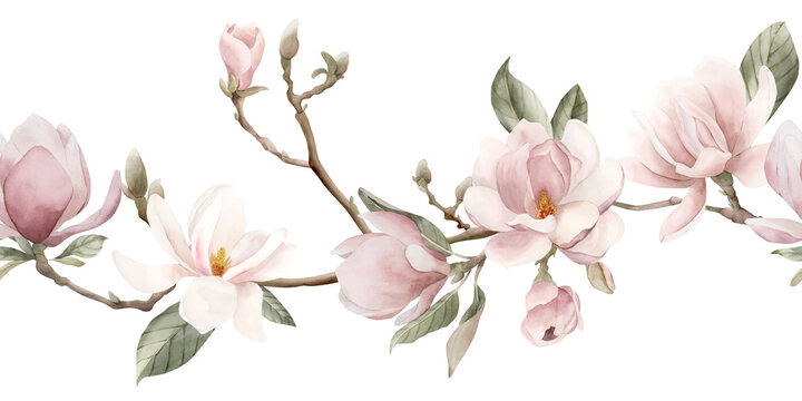 Light pink magnolia flowers, buds, sprigs and leaves. Seamless border of spring blossom. Floral watercolor illustration