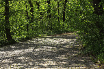 Naklejka premium Road in a landscape park