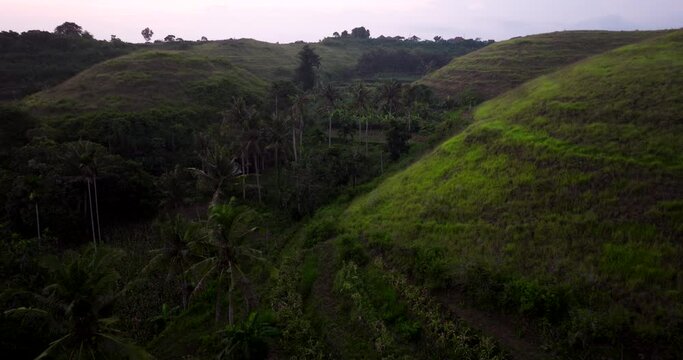 Drone Flying Through Teletubbies Hill With Palm Trees At Sunset. Nusa Penida In Bali, Indonesia.