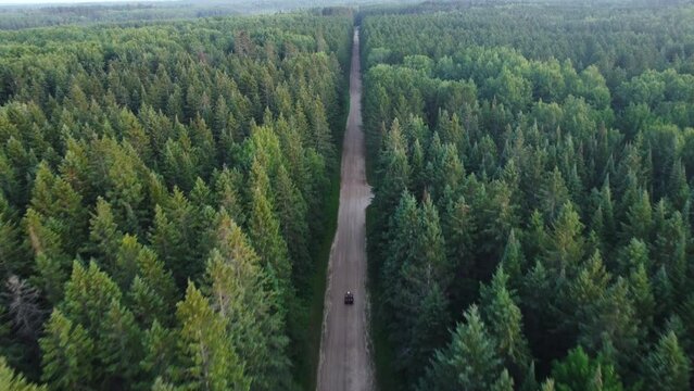 Aerial of four-wheeler in forest