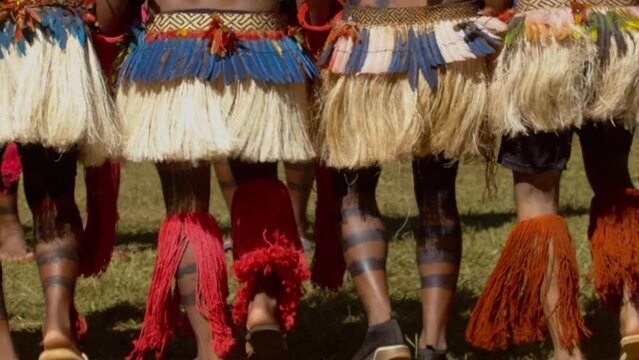 Indigenous Amazonian Dancers' Legs with Striped Paint and Red Grass Skirts, Dancing in Slow Motion