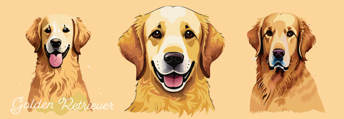 Golden retriever collection. Cute dogs vector set. Set of funny pet animals isolated on  background. 