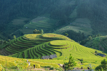 The beautiful rice terraces of Mu Cang Chai, Yen Bai, Vietnam