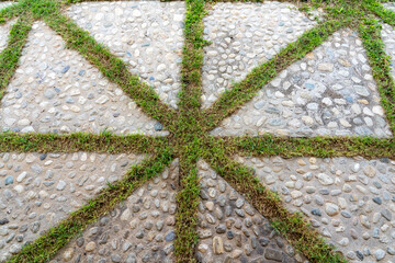 Decorative path made of stone with a pattern of green grass.