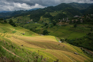 Fototapeta premium The spectacular rice terraces of Mu Cang Chai, Yen Bai, Vietnam