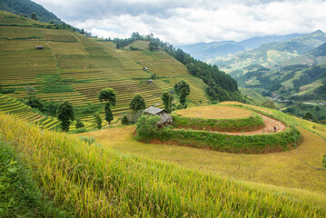 The beautiful rice terraces of Mu Cang Chai, Yen Bai, Vietnam