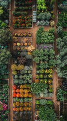 Aerial view of a large community garden in an urban area, rows of crops and colorful flowers