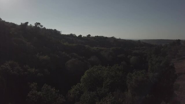 For&ecirc;t de Broc&eacute;liande - Le Val sans retour 1