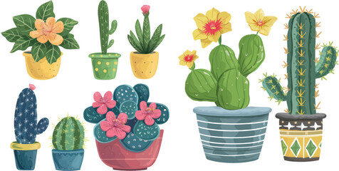 Houseplants and flowerpots. Cactus and Primrose