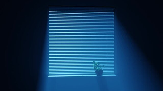 Moonlight on the floor through a window with horizontal blinds.