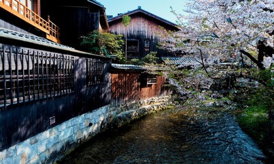 春の京都の古い町並み