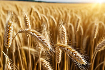 Close-up of ears of golden wheat of wheat field, serene scenery. Nature landscape background of ripening ears of wheat field. Rural rich harvest concept. Gen ai illustration. Copy ad text space