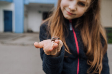 A small beautiful girl, a teenage child, looks with interest, curiosity at a caught cockchafer, a large insect, a beetle on her arm, palm outdoors in nature. Animal photography.