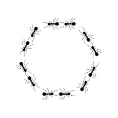 Ants road of hexagon shape stop view design vector illustration isolated on white background. Trail line curve of ants bug in row. Pest control or insect searching illustration