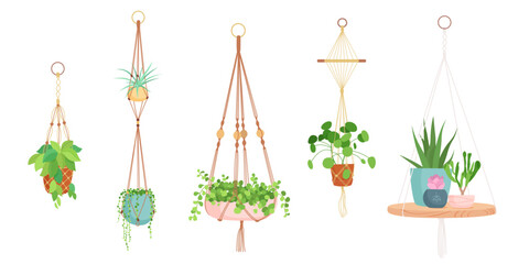 House plants in hanging macrame pots. Home green garden. Vector illustration collection of tropical flowers in hangers. Cute beautiful handmade home or office decoration