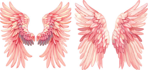 Cute angel wings - 797728137