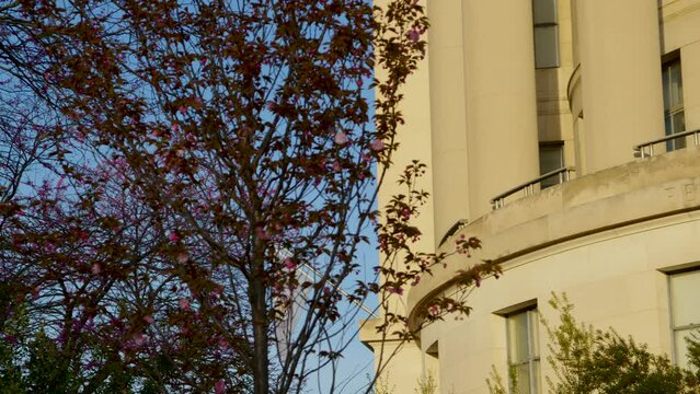 The Federal Trade Commission building's name is etched in stone in the light of dawn