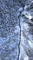 Fototapeta premium Aerial view of a snowy forest road and trees.