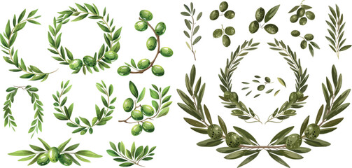 Olives branches and olive crown. Greek olives branch and wreath set, - 797731533