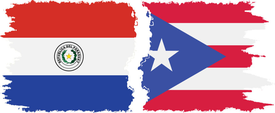 Puerto Rico and Paraguay grunge flags connection vector