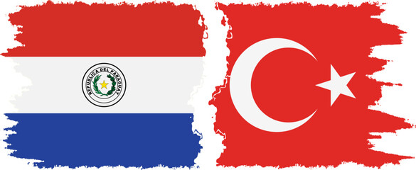 Turkey and Paraguay grunge flags connection vector