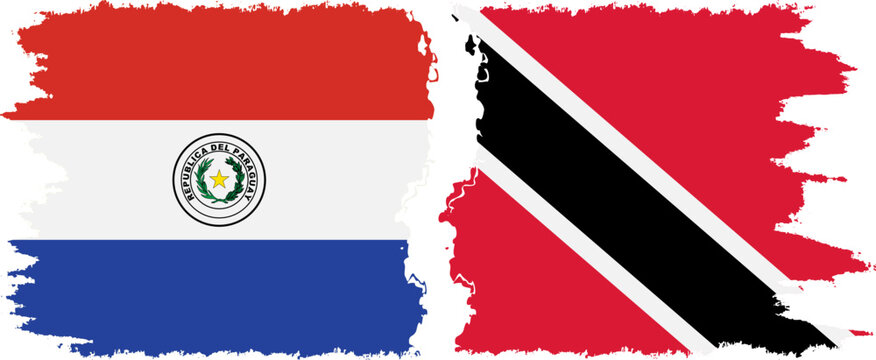 Trinidad and Tobago and Paraguay grunge flags connection vector