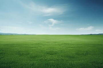 Obraz premium A green grass field landscape outdoors horizon.