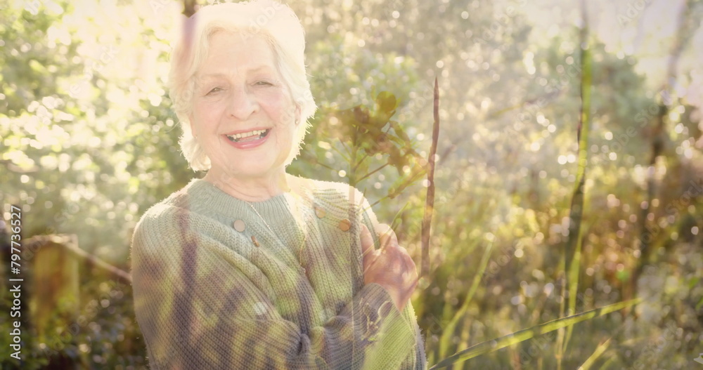 Canvas Prints Image of spots of light and trees over smiling senior caucasian woman in garden