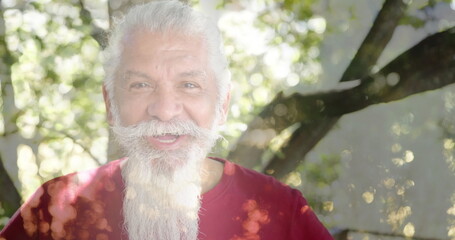 Image of spots of light and trees over smiling senior biracial man in garden - Powered by Adobe
