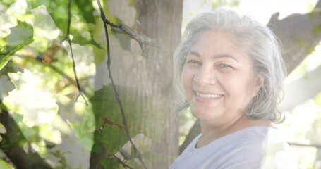 Image of spots of light and trees over smiling senior biracial woman in garden