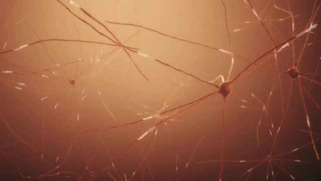 Journey Through Brain And Complex neuron Cells network And Synapses system work in brain abstract background science neural biology nervous