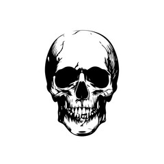 Minimalist skull logo, in tones of black and white. 