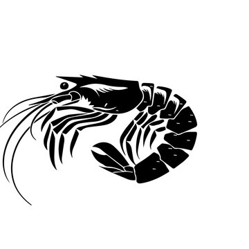 recommend clip art: Shrimp, minimalist icon, flat, black, line, white background 