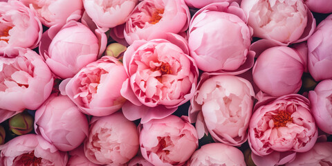 background with beautifl flowers, pink peonies, pink roses - Powered by Adobe