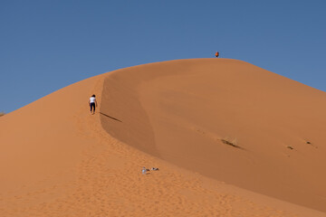 sand dunes in the desert The most beautiful safaris in the desert _ Moroccan desert _ camel riding...