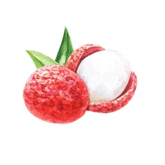 Chinese plum lychee fruit watercolour composition 